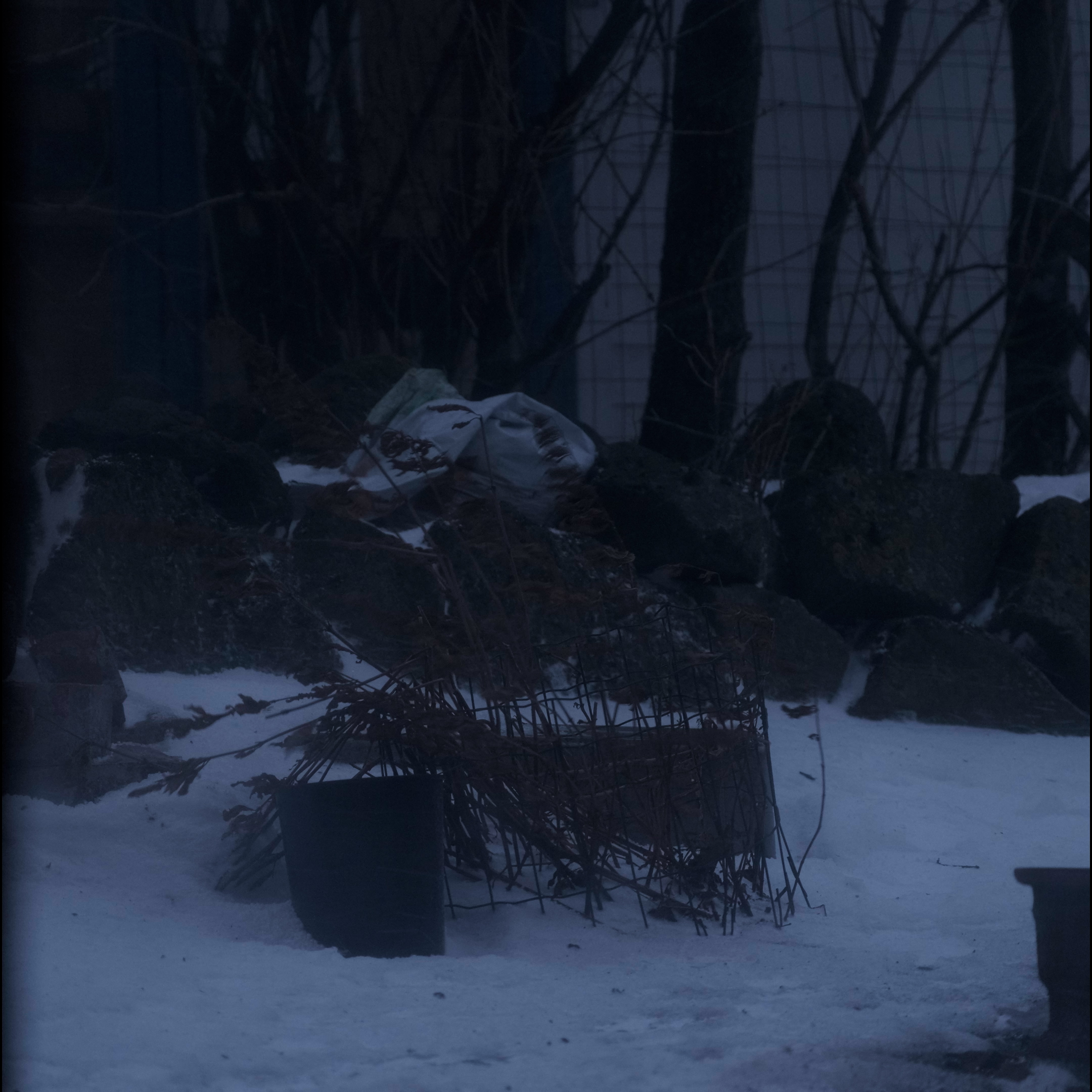 Gulr&aelig;tur — still 6